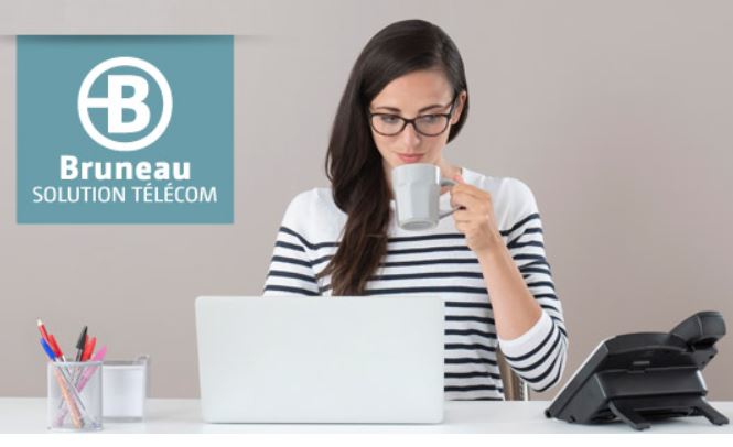 bruneau 092018